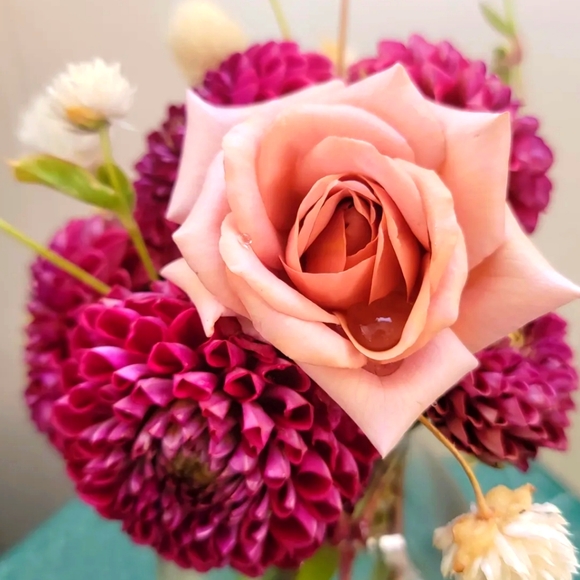 Meet your Posher, Heather - Picture 1 of 1